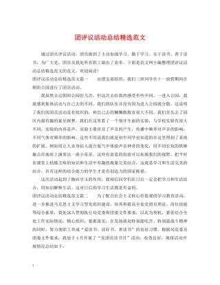 团评议活动总结精选范文