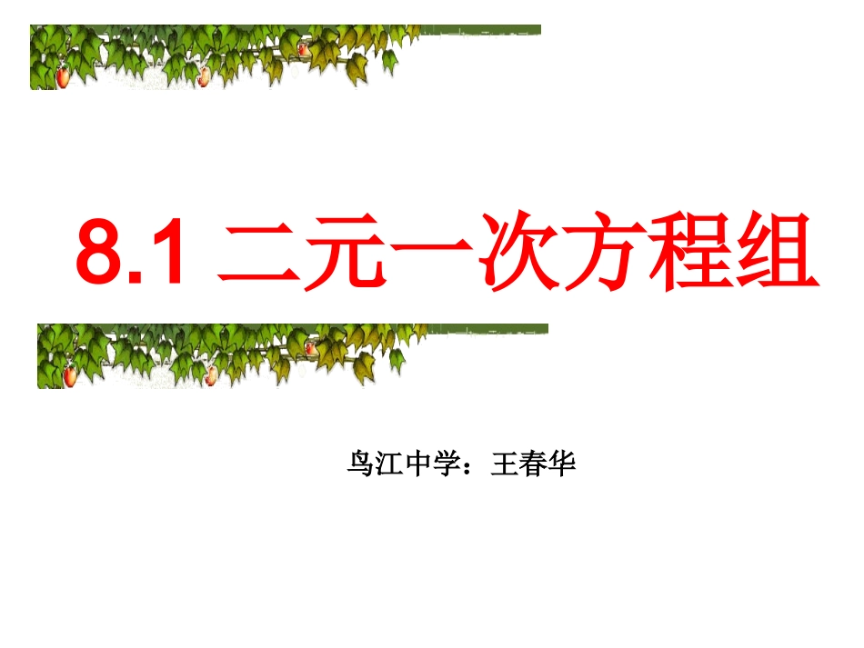《二元一次方程组》课件1_第1页