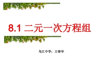 《二元一次方程组》课件1