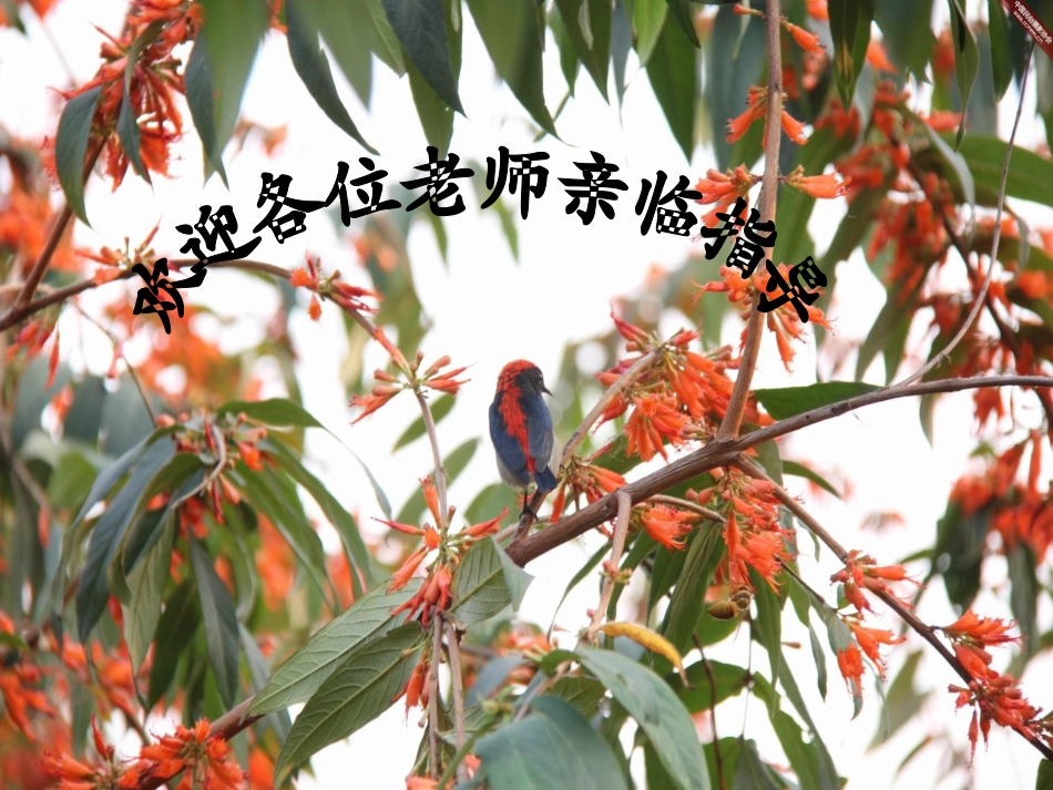《想别人没想到的》课件_第1页