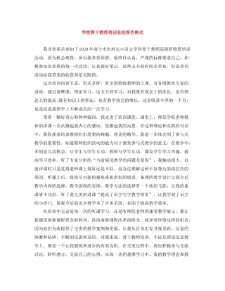 学校骨干教师培训总结报告格式
