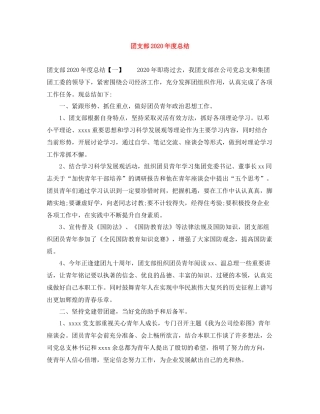 团支部年度总结