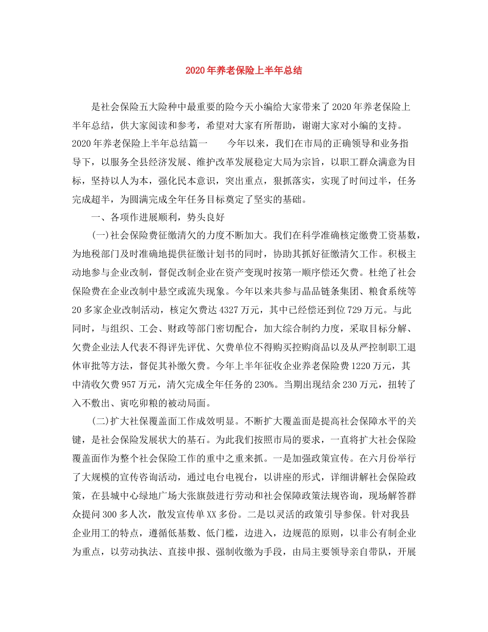 2020年养老保险上半年总结_第1页