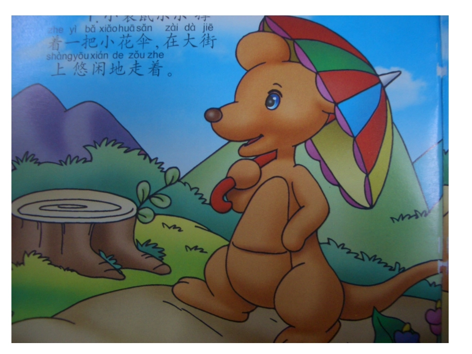 -小袋鼠乐乐_第3页