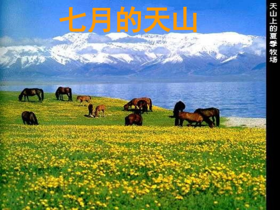 七月的天山 (2)_第1页