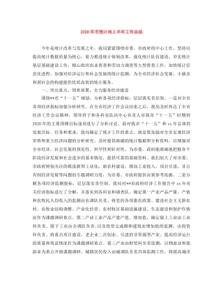 2020年市统计局上半年工作总结 