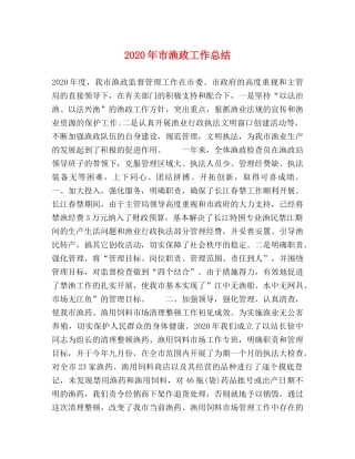 2020年市渔政工作总结 