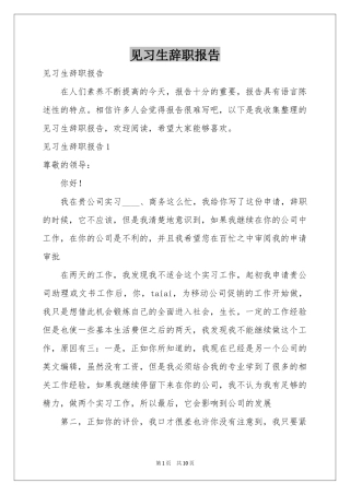 见习生辞职报告