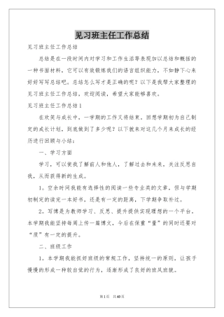 见习班主任工作参考总结