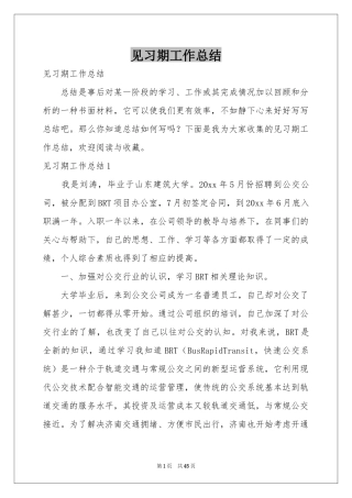 见习期工作参考总结
