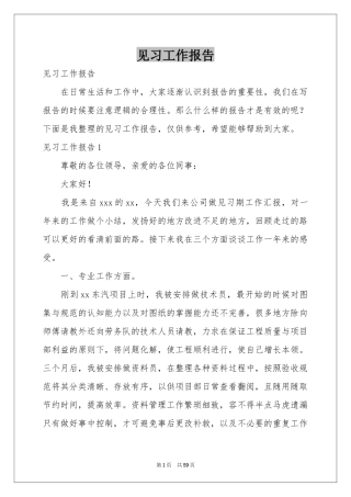 见习工作报告