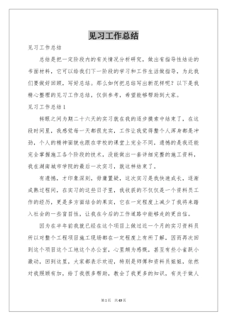 见习工作参考总结
