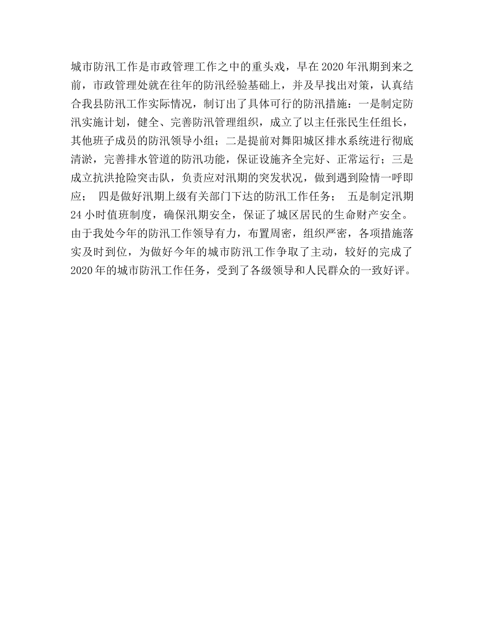 2020年市政管理处工作总结 _第3页