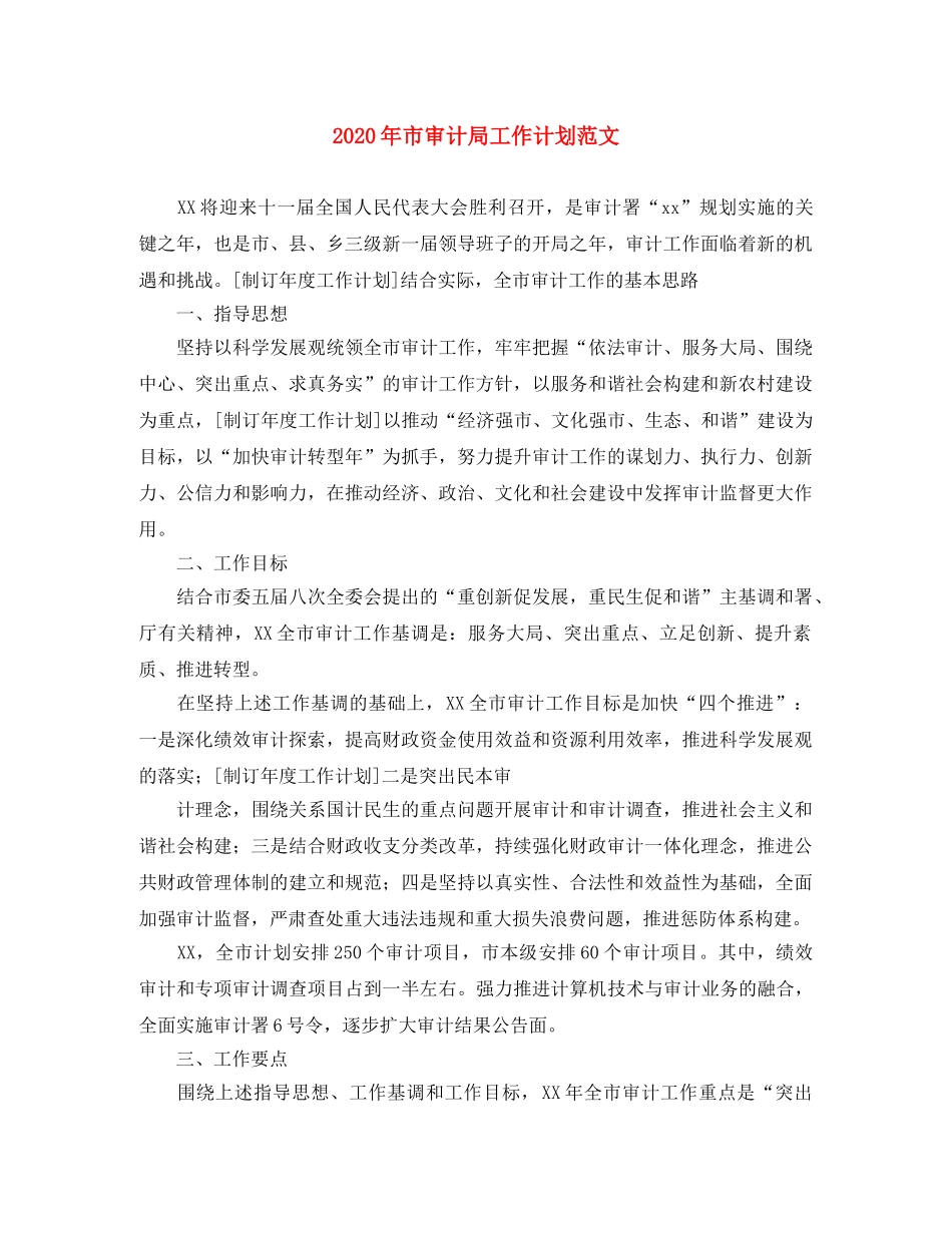 2020年市审计局工作计划范文 _第1页