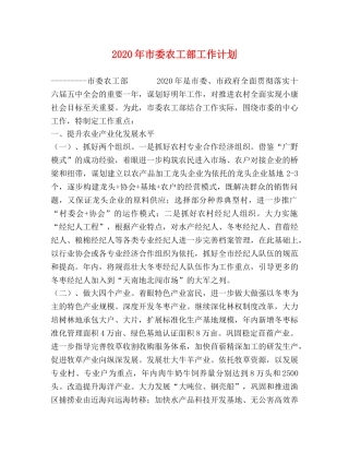 2020年市委农工部工作计划 