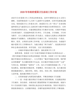 2020年市政府爱国卫生活动工作计划 