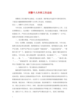 刑警个人年终工作总结