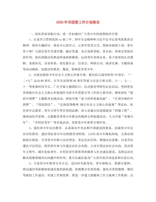 2020年市团委工作计划报告 