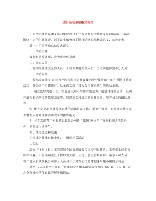 团日活动总结格式范文