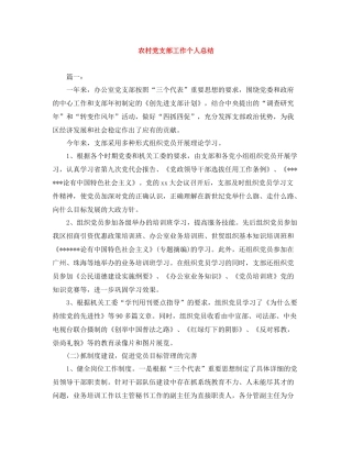 农村党支部工作个人总结