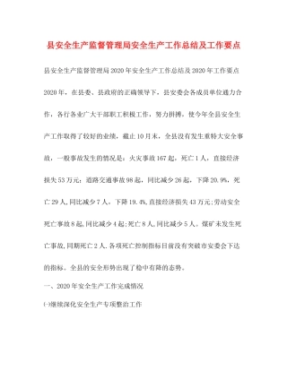 县安全生产监督管理局安全生产工作总结及工作要点