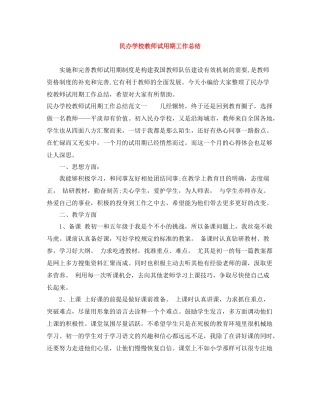 民办学校教师试用期工作总结