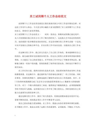 员工试用期个人工作总结范文