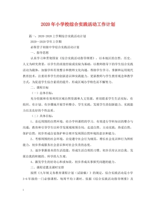 2020年小学校综合实践活动工作计划 