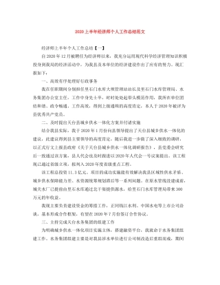 上半年经济师个人工作总结范文