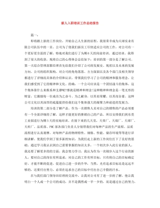 新人入职培训工作总结报告