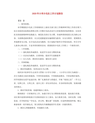 2020年小学少先队工作计划报告 