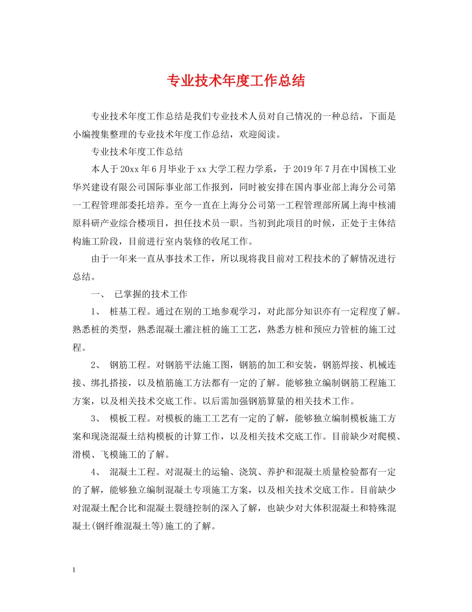专业技术年度工作总结_第1页