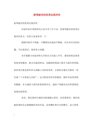 新驾驶员的优秀自我评价