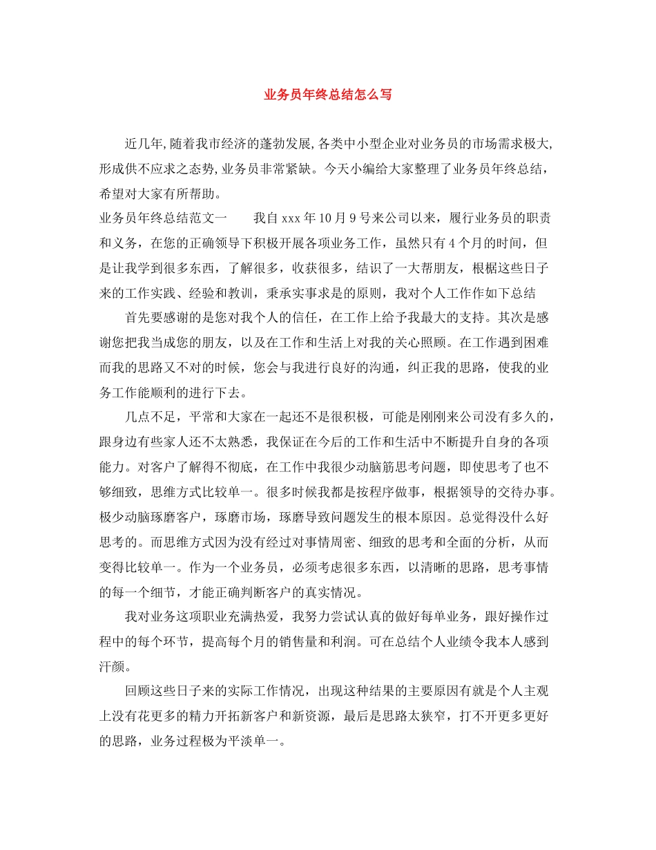 业务员年终总结怎么写_第1页