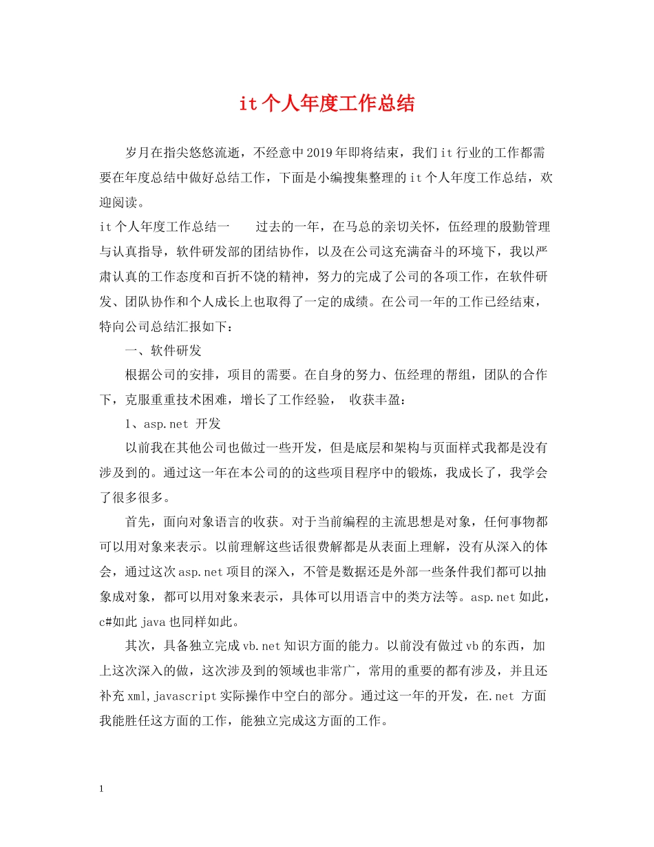 it个人年度工作总结_第1页
