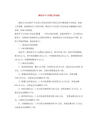 新农合个人年度工作总结