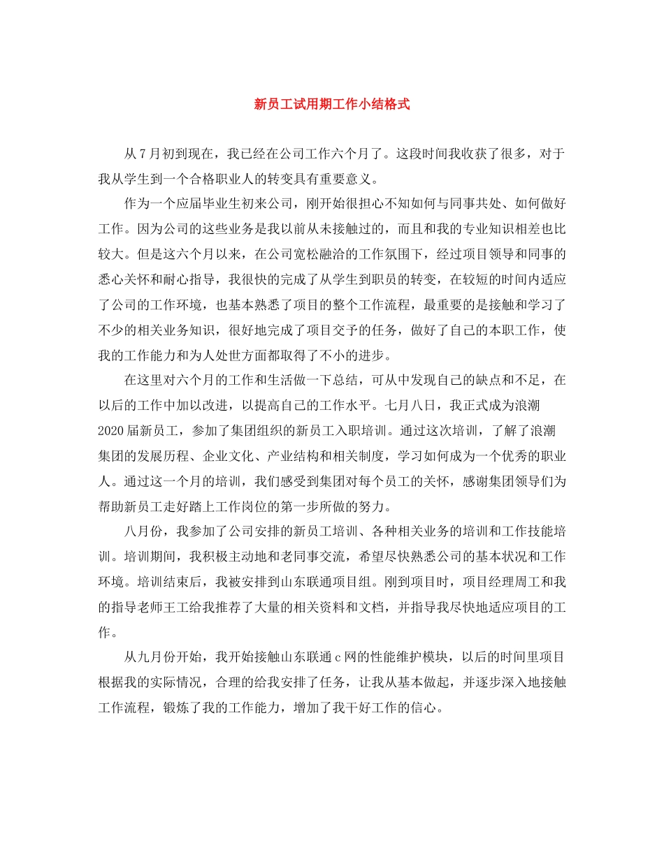 新员工试用期工作小结格式_第1页