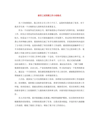 新员工试用期工作小结格式