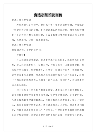 竟选小组长发言稿