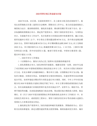 2020年审计局工作总结与计划 