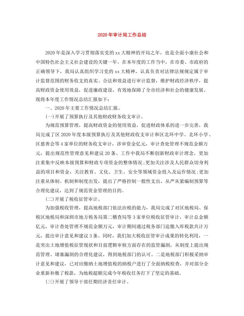 2020年审计局工作总结 _第1页