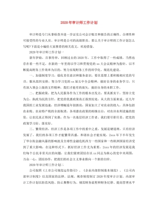 2020年审计师工作计划 