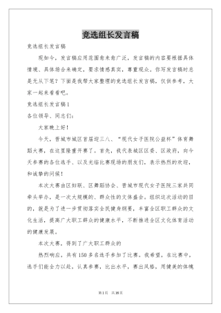竞选组长发言稿
