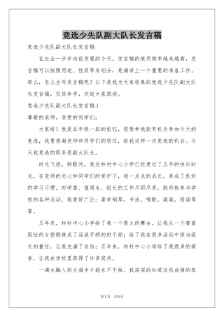 竞选少先队副大队长发言稿