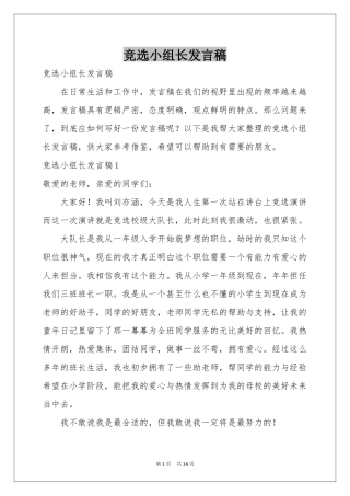 竞选小组长发言稿