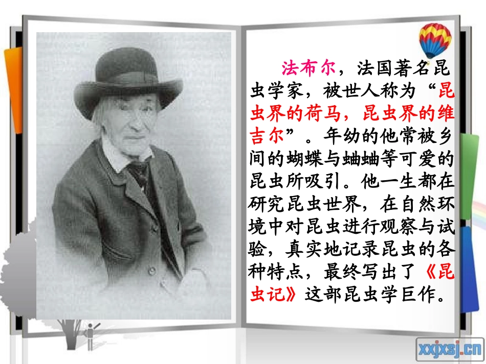 蜜蜂 (2)课件_第2页