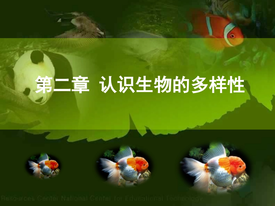 八年级生物认识生物的多样性_第1页