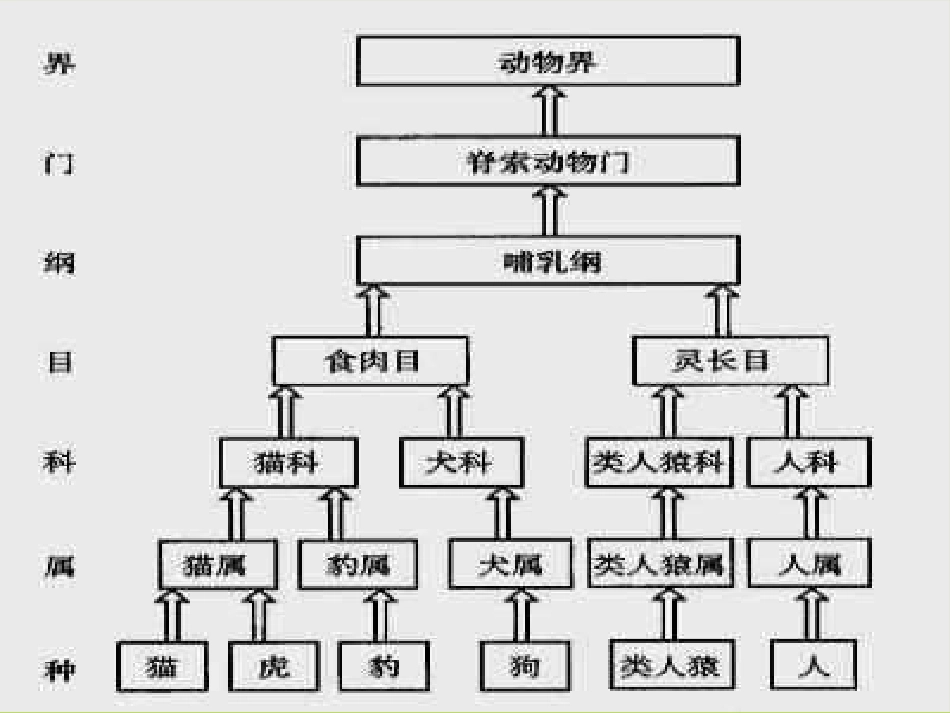 八年级生物认识生物的多样性_第3页