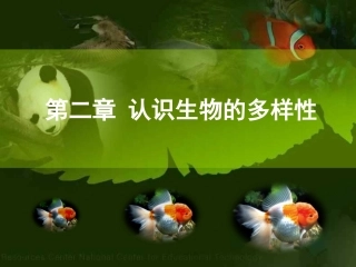 八年级生物认识生物的多样性