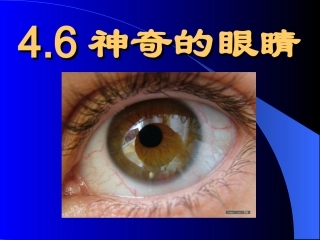 _神奇的眼睛